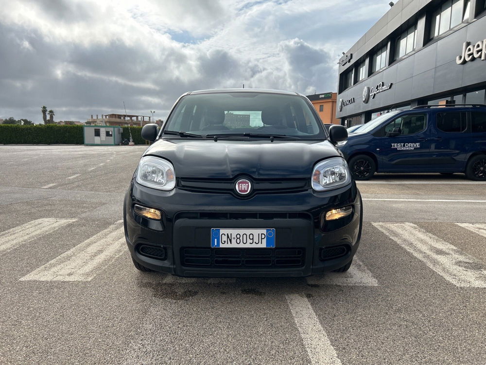 Fiat Panda nuova a Caltanissetta (8)