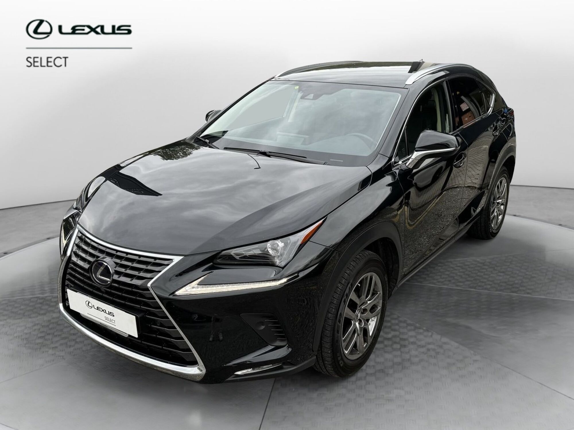 Lexus NX Hybrid 4WD Premium  del 2021 usata a Como