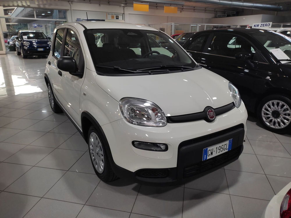 Fiat Panda Cross nuova a Prato