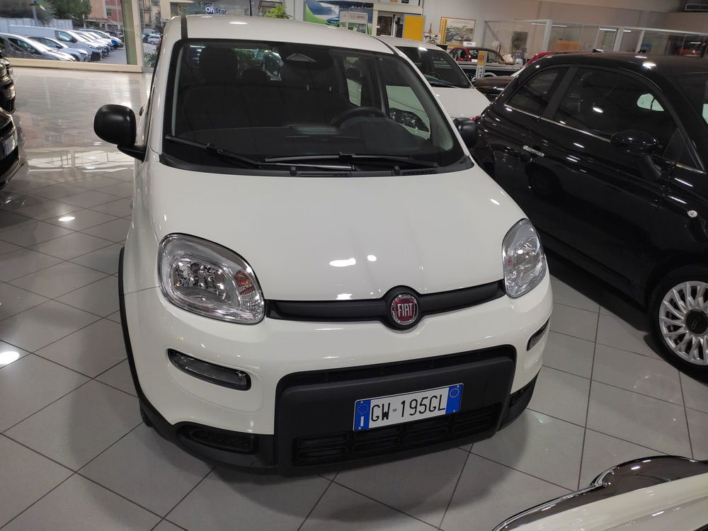 Fiat Panda Cross nuova a Prato (2)