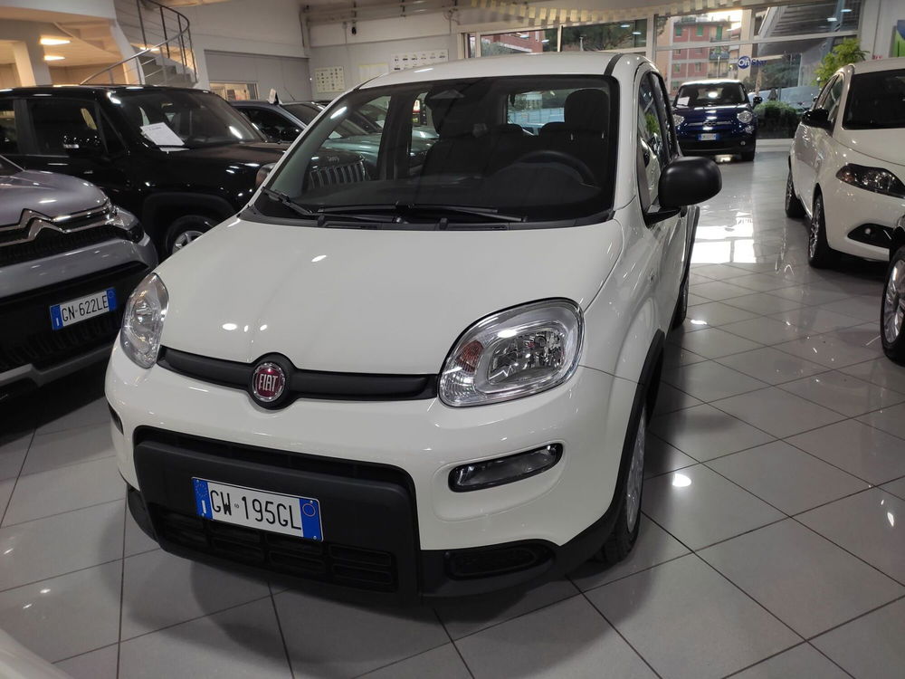 Fiat Panda Cross nuova a Prato (3)