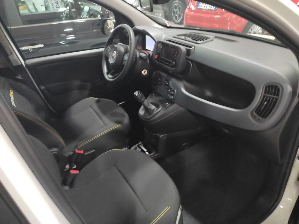 Fiat Panda Cross nuova a Prato (5)