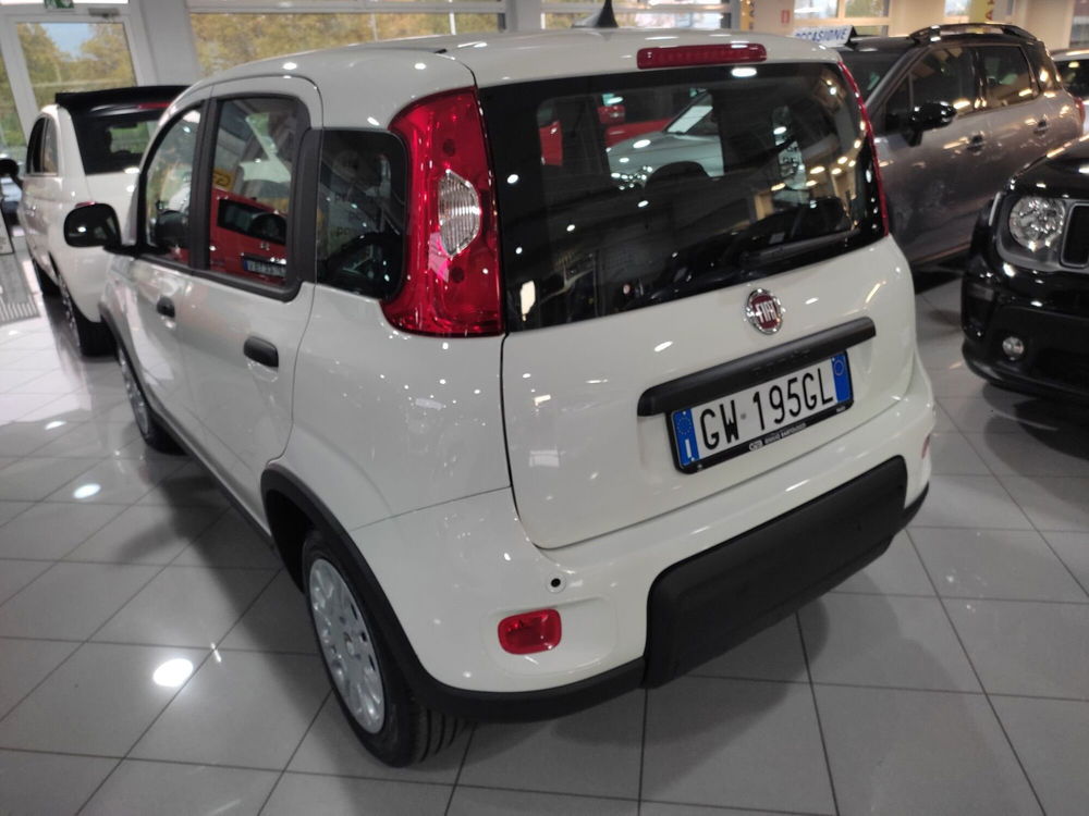 Fiat Panda Cross nuova a Prato (6)