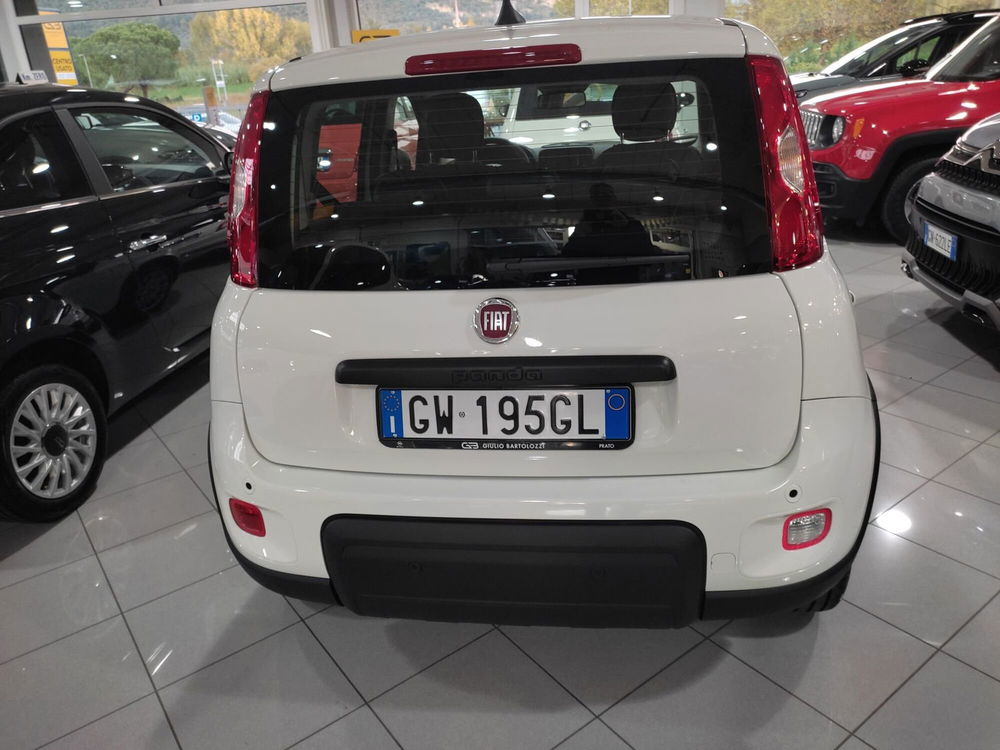 Fiat Panda Cross nuova a Prato (7)