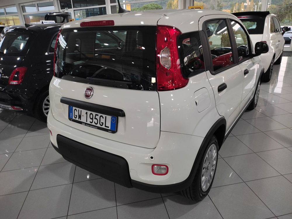 Fiat Panda Cross nuova a Prato (8)