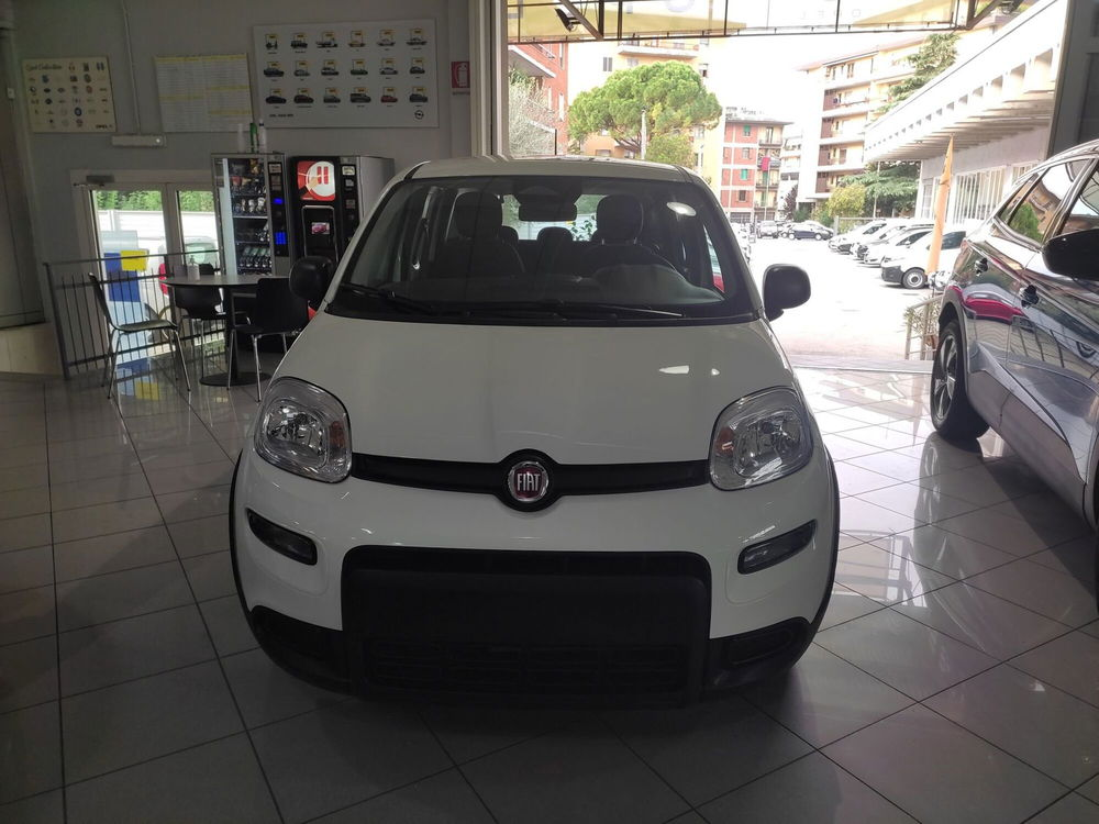 Fiat Panda Cross nuova a Prato (2)