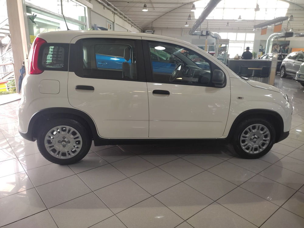 Fiat Panda Cross nuova a Prato (4)