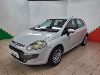 Fiat Punto Evo 1.3 Mjt 75 CV 5 porte Dynamic  del 2010 usata a Terranuova Bracciolini