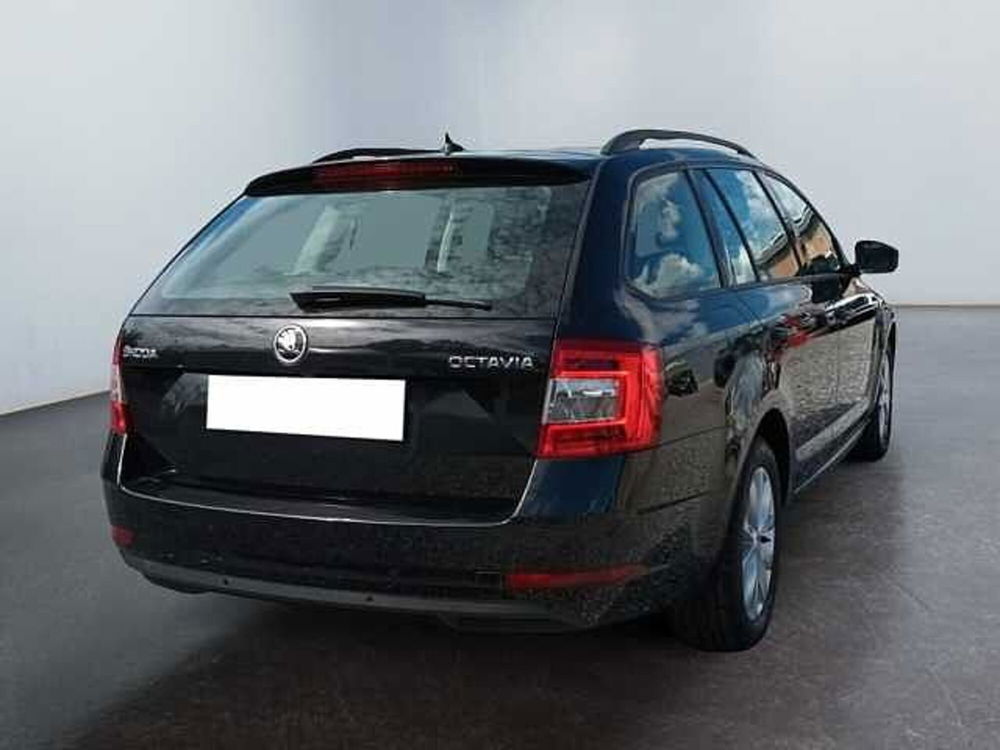 Skoda Octavia usata a Lucca (2)