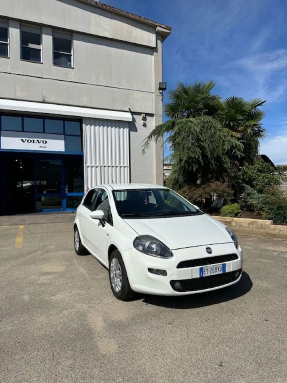 Fiat Punto usata a Novara