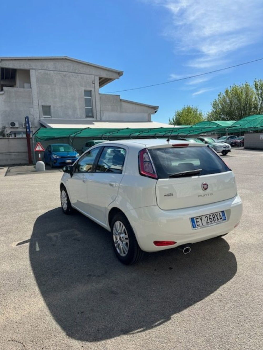 Fiat Punto usata a Novara (10)