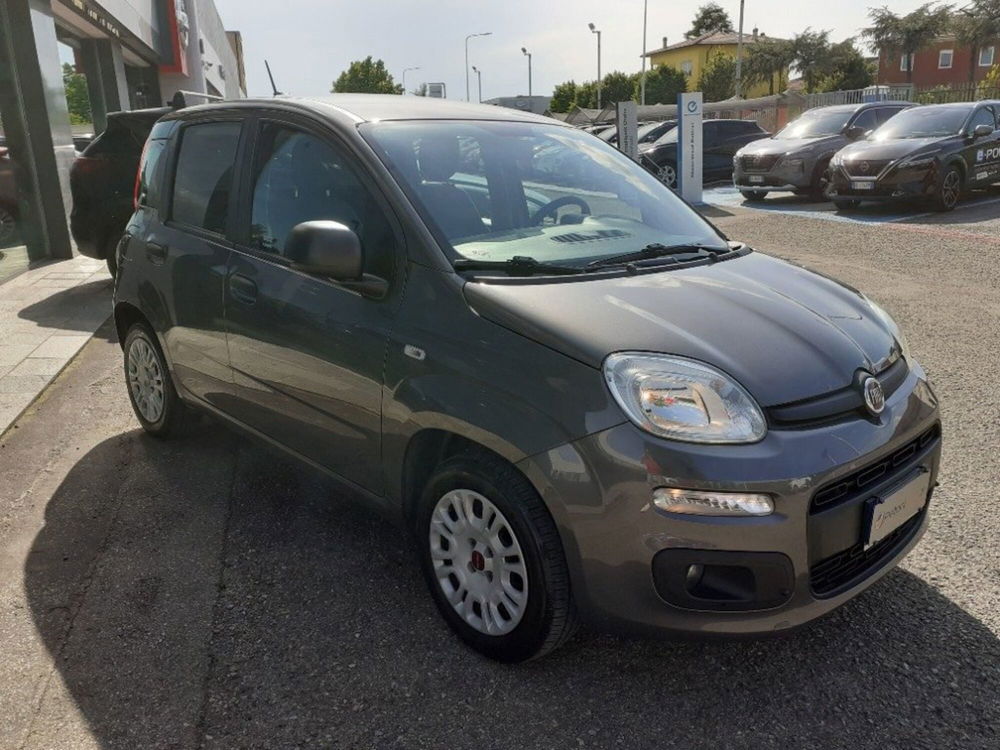 Fiat Panda usata a Modena (4)