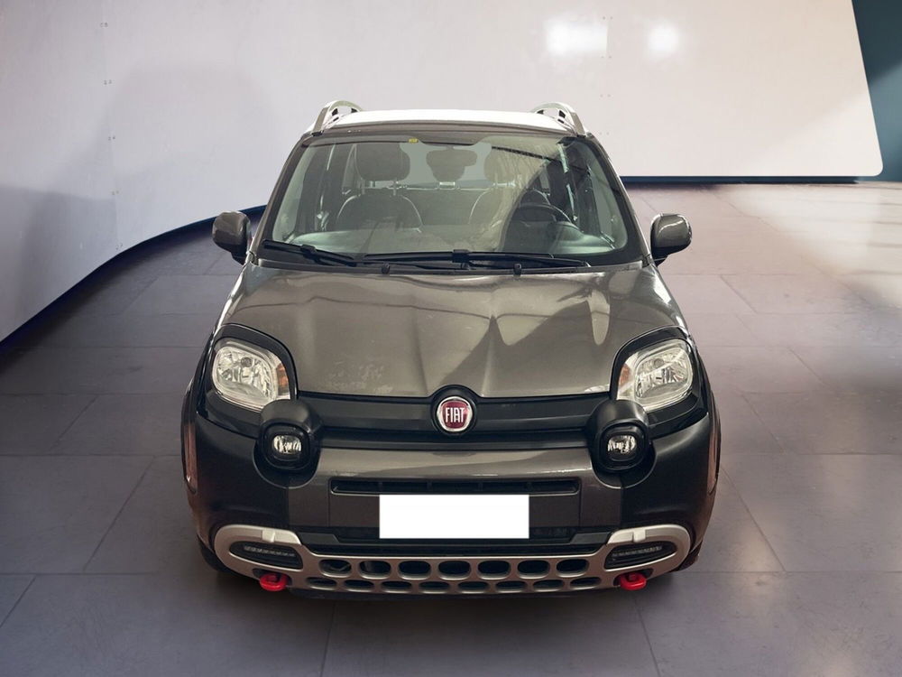 Fiat Panda Cross usata a Torino