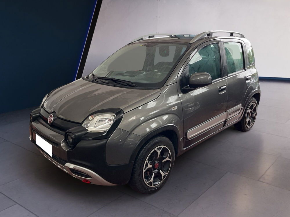 Fiat Panda Cross usata a Torino (2)