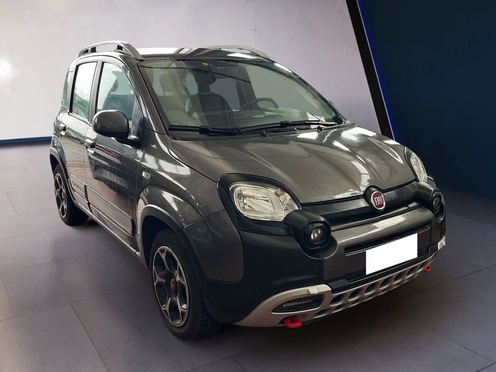 Fiat Panda Cross usata a Torino (3)