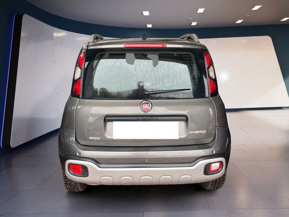 Fiat Panda Cross usata a Torino (4)