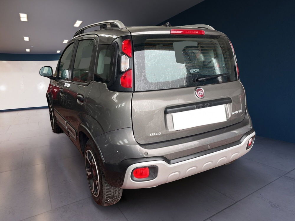 Fiat Panda Cross usata a Torino (5)