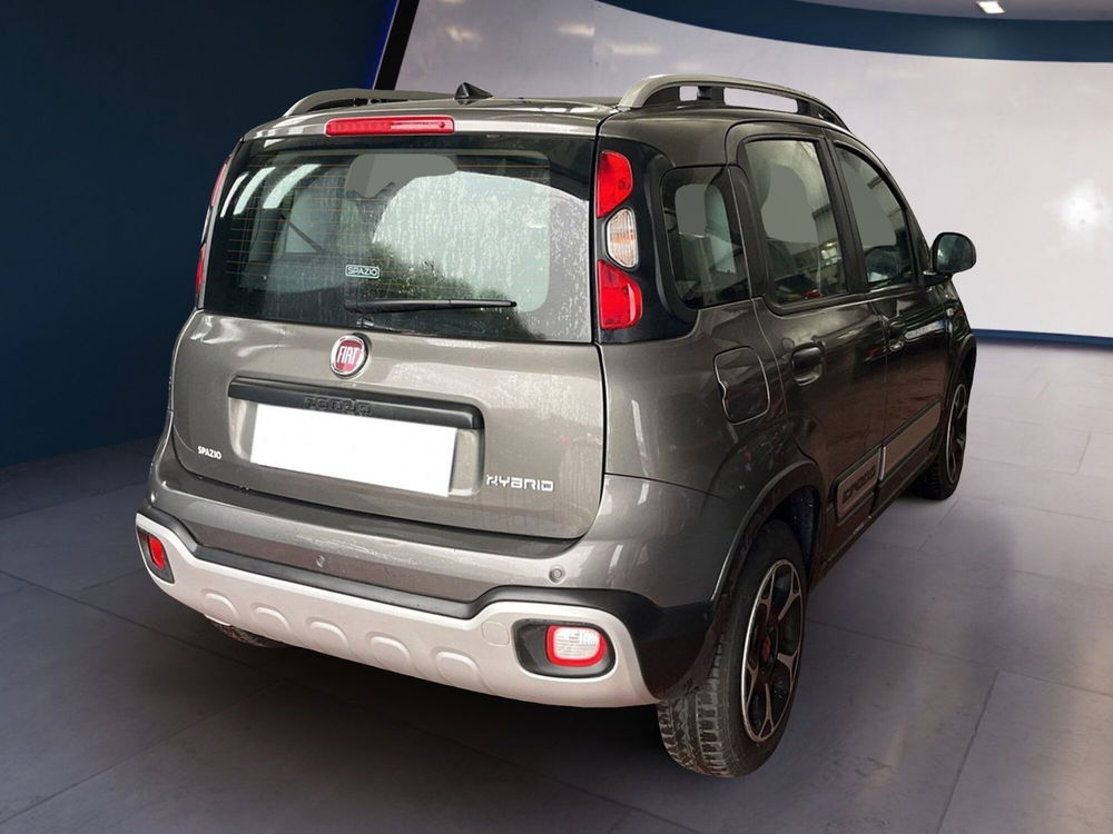 Fiat Panda Cross usata a Torino (6)