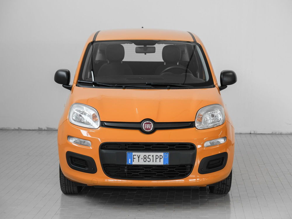 Fiat Panda usata a Prato (2)