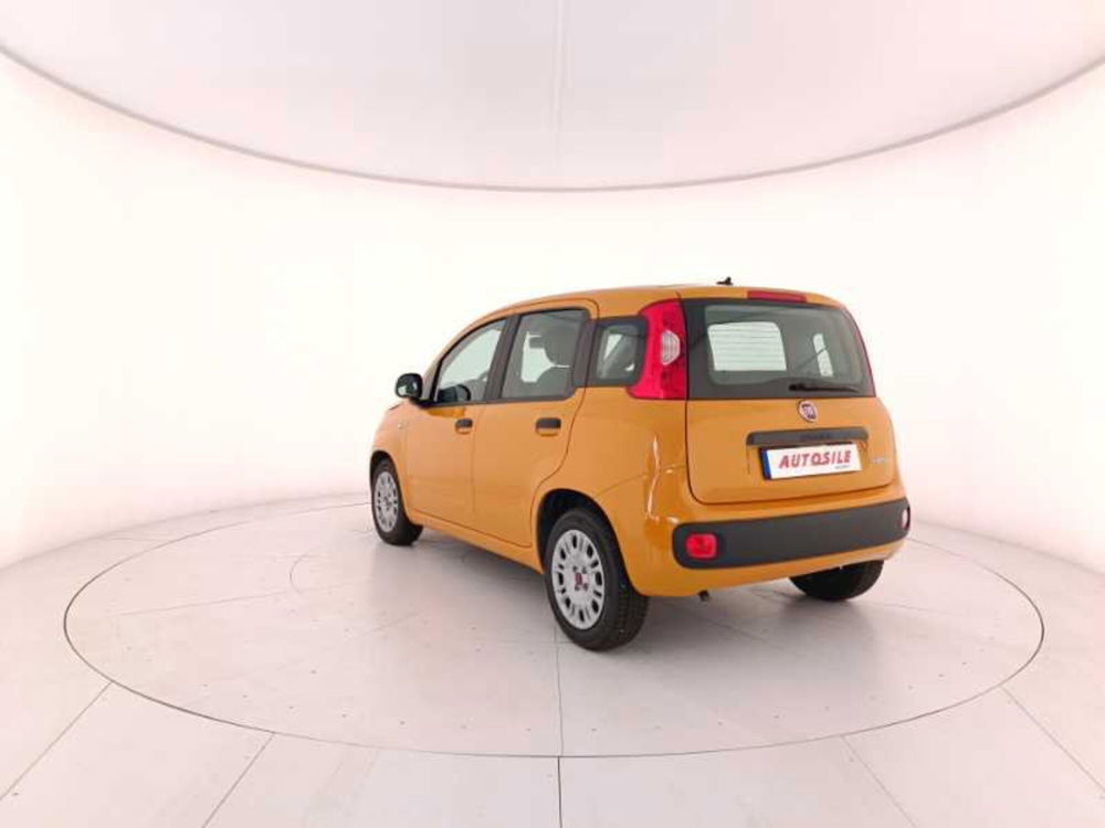 Fiat Panda usata a Treviso (4)