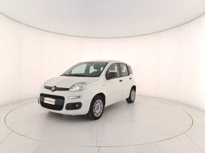 Fiat Panda 1.2 Easy Van 4 posti  del 2019 usata a Treviso