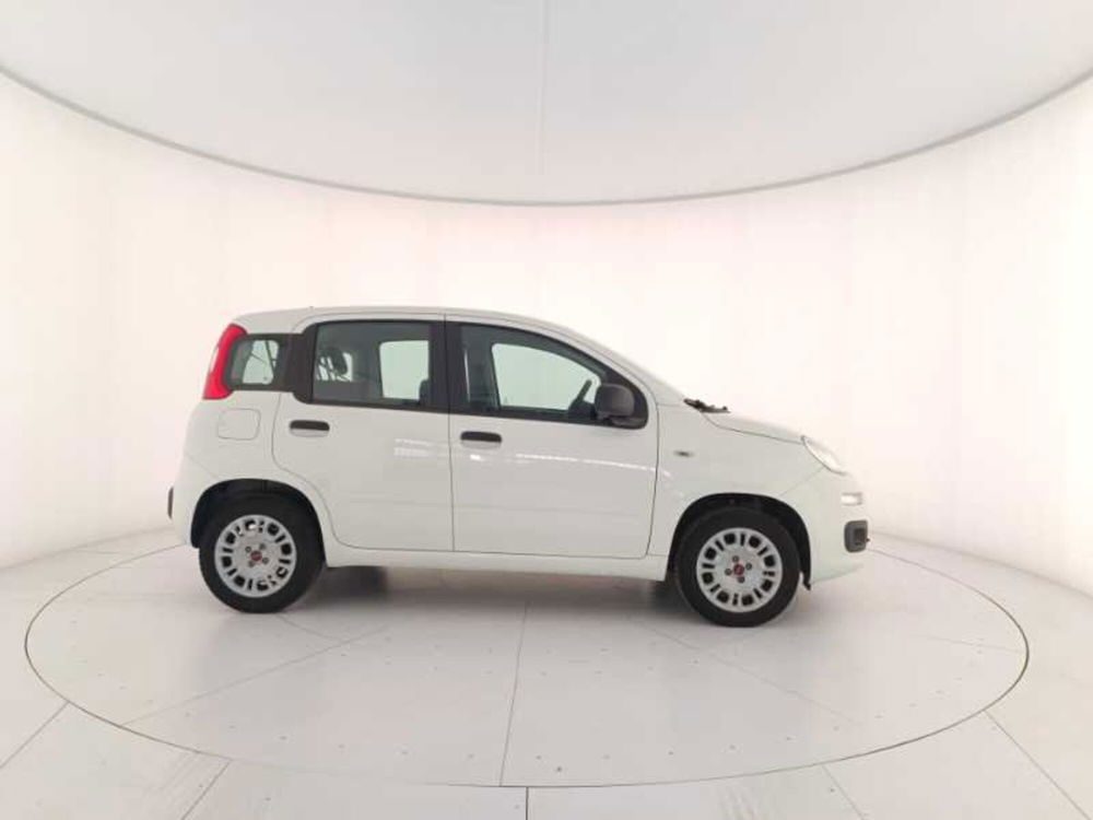 Fiat Panda usata a Treviso (7)