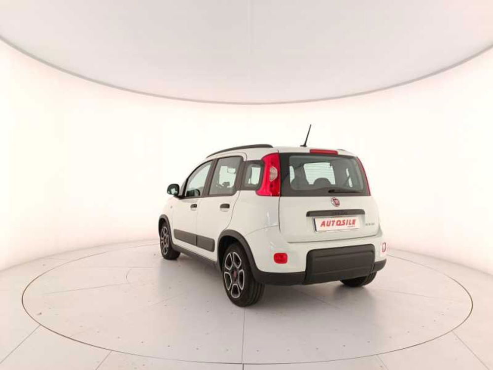 Fiat Panda usata a Treviso (4)