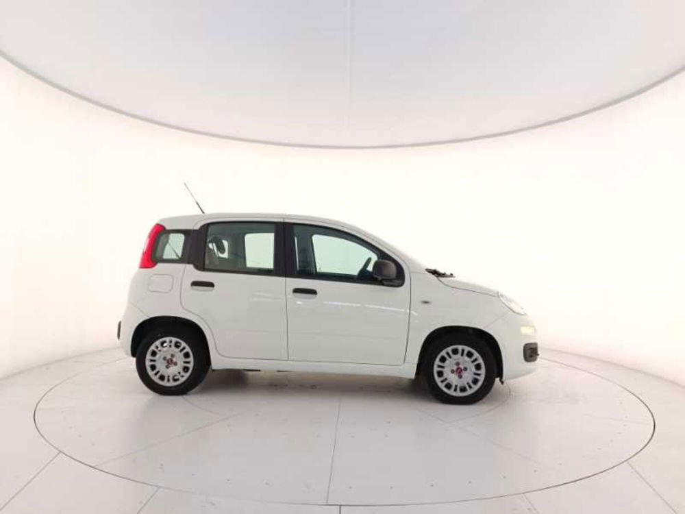 Fiat Panda usata a Treviso (7)