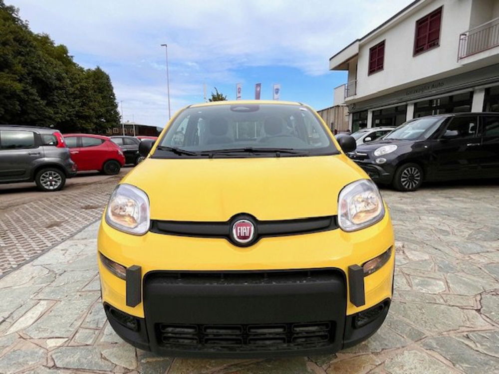 Fiat Panda Cross nuova a Milano (2)