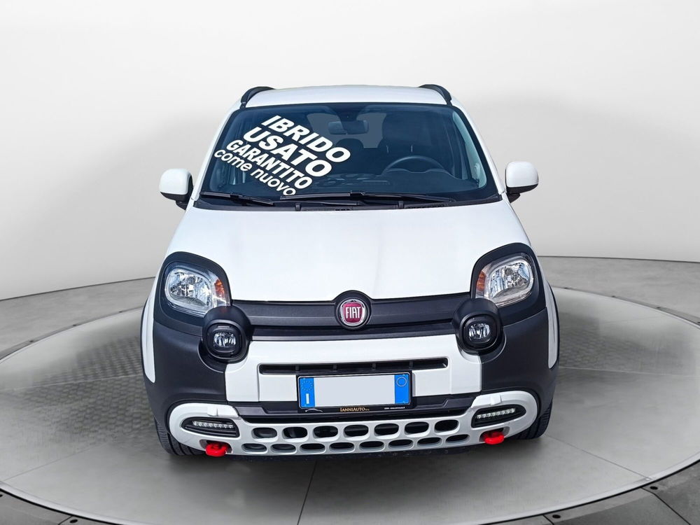 Fiat Panda usata a Frosinone