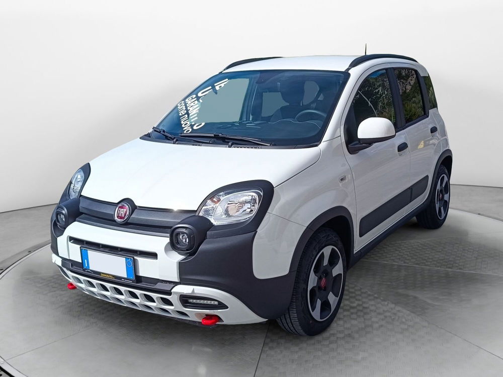 Fiat Panda usata a Frosinone (2)