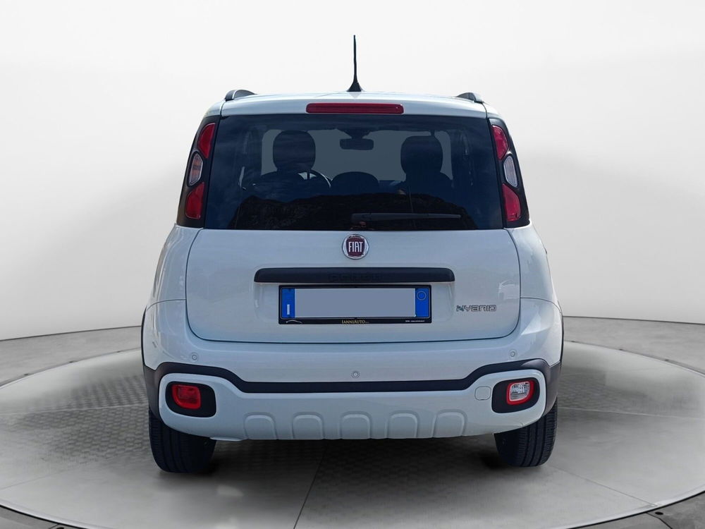 Fiat Panda usata a Frosinone (4)