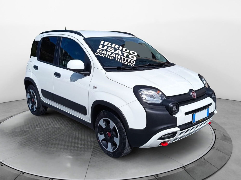 Fiat Panda usata a Frosinone (7)