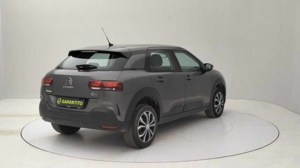 Citroen C4 Cactus usata a Torino (5)