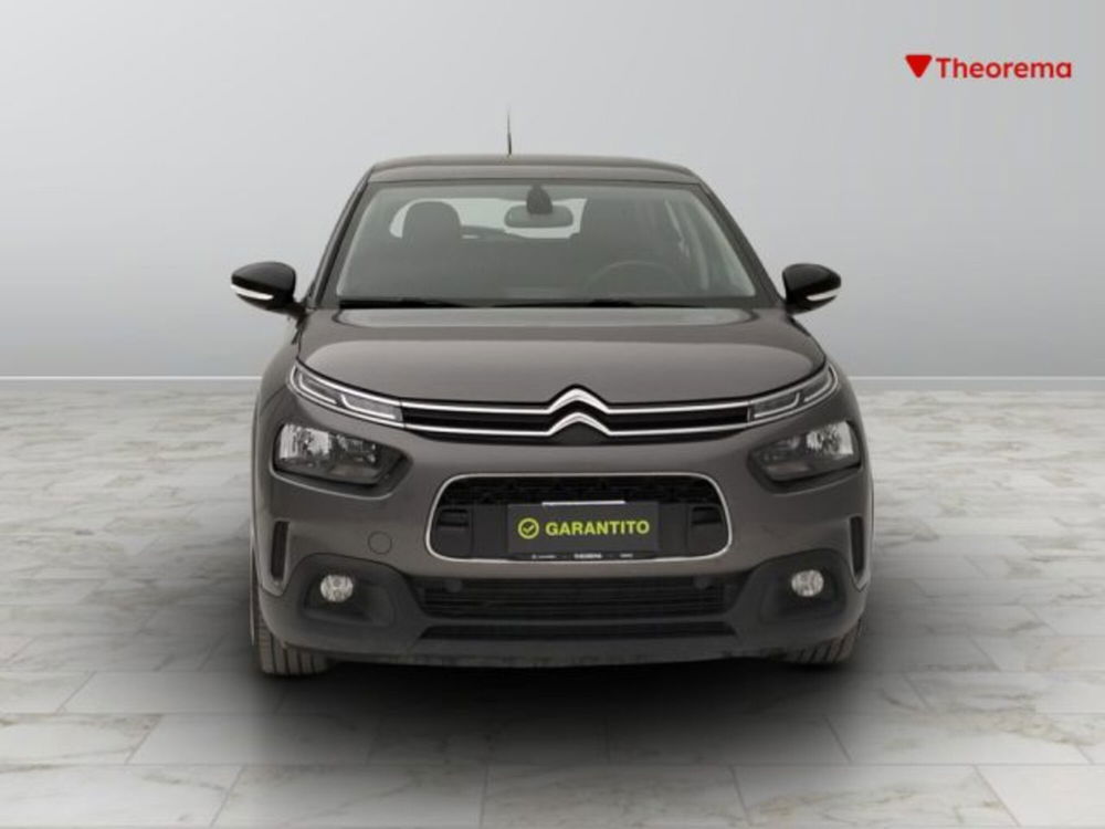 Citroen C4 Cactus usata a Torino (8)