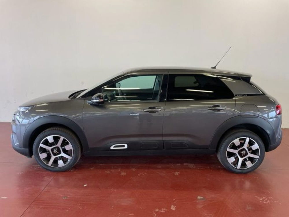 Citroen C4 Cactus usata a Torino (2)