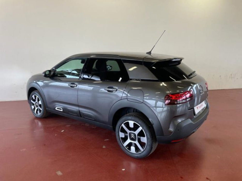 Citroen C4 Cactus usata a Torino (3)