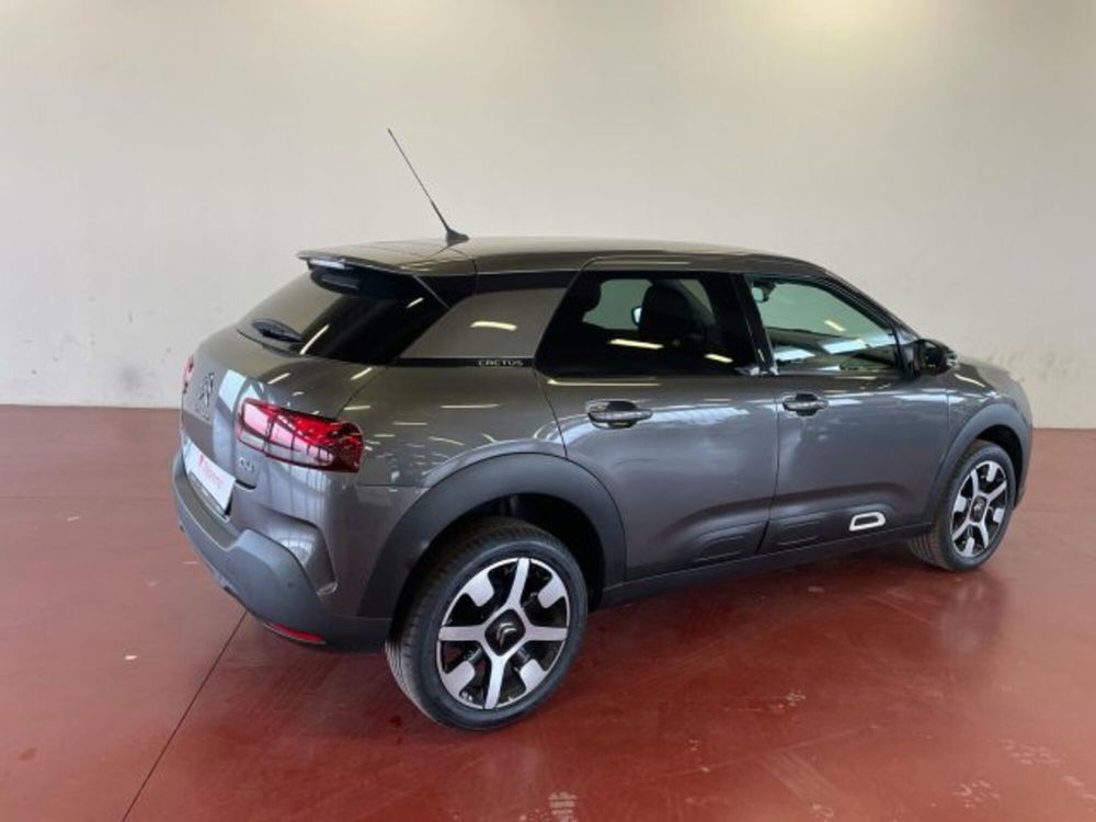 Citroen C4 Cactus usata a Torino (5)