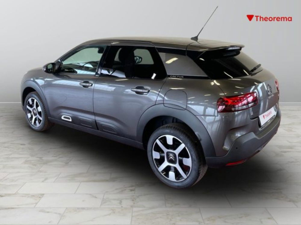 Citroen C4 Cactus usata a Torino (3)