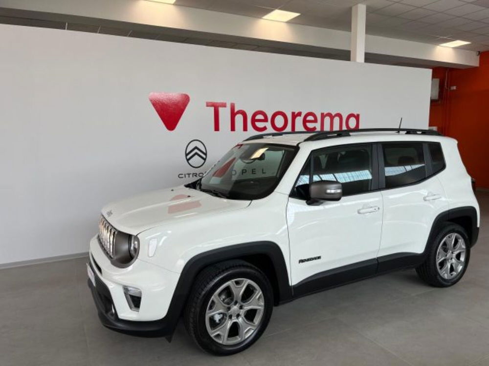 Jeep Renegade usata a Torino