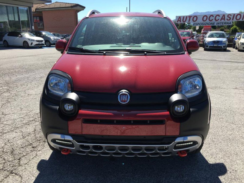 Fiat Panda Cross nuova a Cuneo (6)