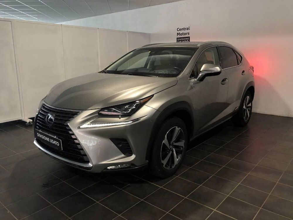 Lexus NX usata a Torino