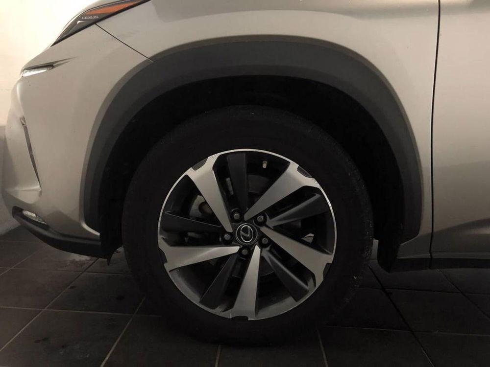 Lexus NX usata a Torino (14)