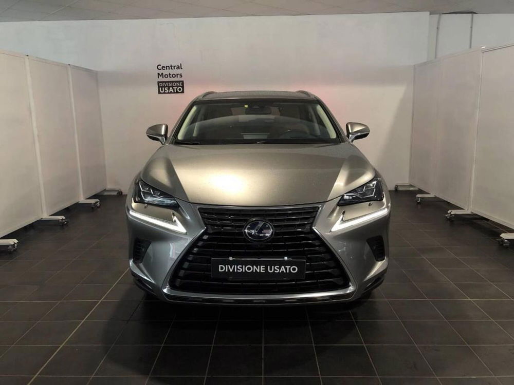 Lexus NX usata a Torino (2)