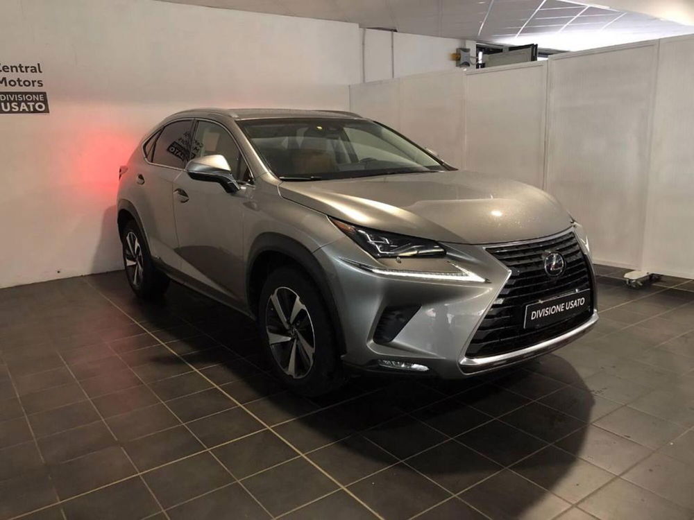 Lexus NX usata a Torino (3)