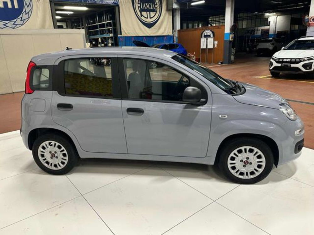 Fiat Panda usata a Milano (4)