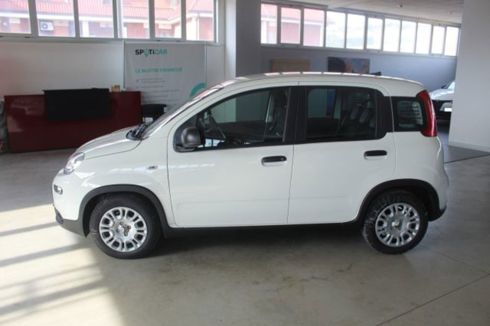 Fiat Panda nuova a Terni (3)