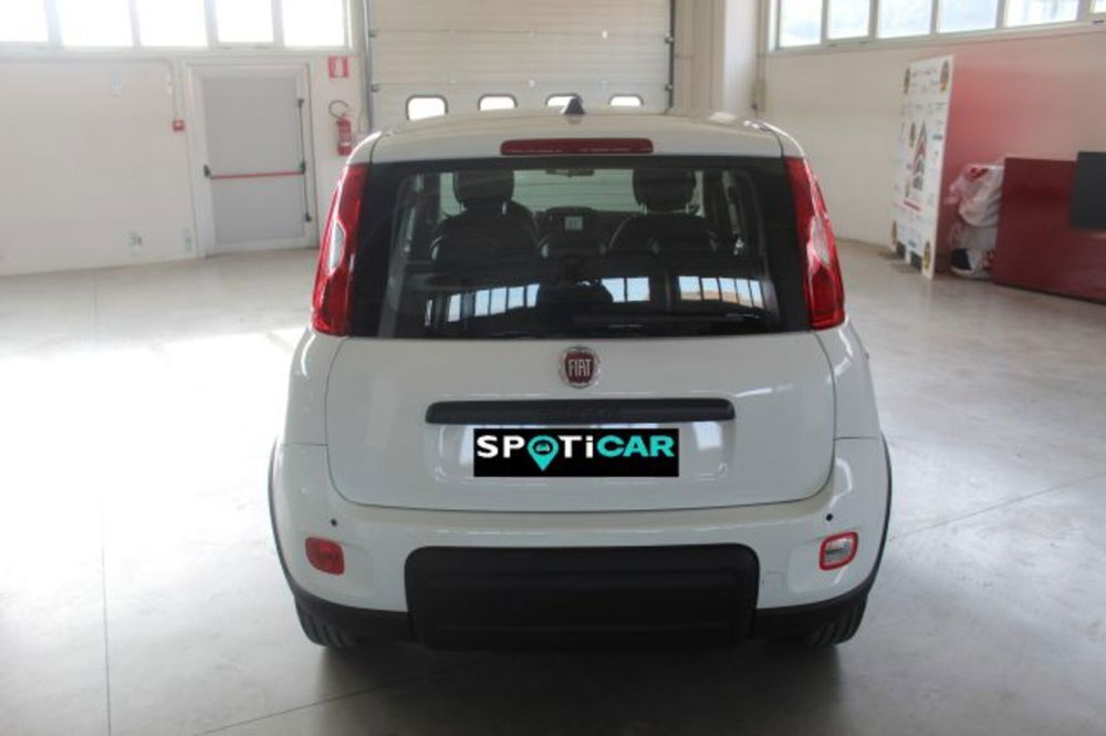 Fiat Panda nuova a Terni (5)