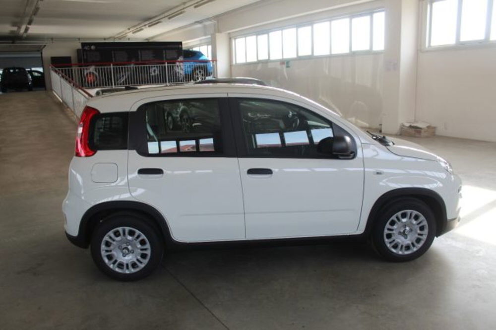 Fiat Panda nuova a Terni (6)