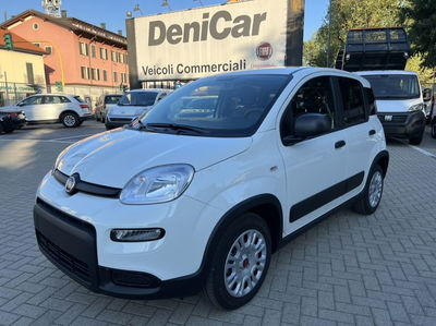 Fiat Panda 1.2 Van Dynamic 4 posti  nuova a Milano